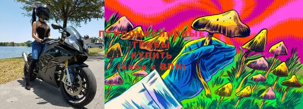 соль курить ск Михайловск