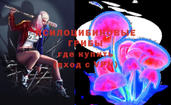 бутират Михайлов