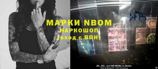 шишки Почеп