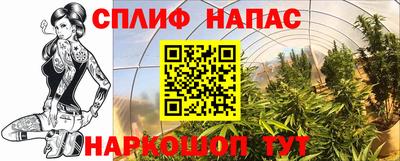 прущая мука Дубна