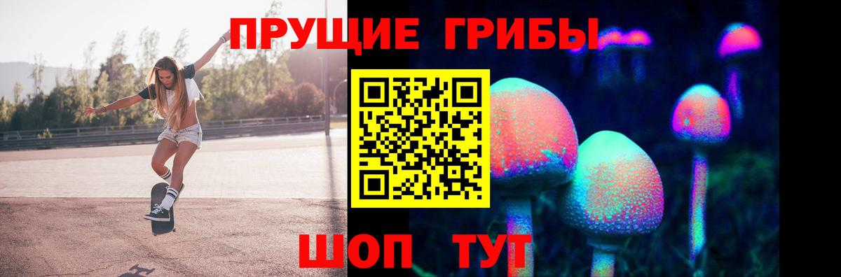 Псилоцибиновые грибы Psilocybe Шуя