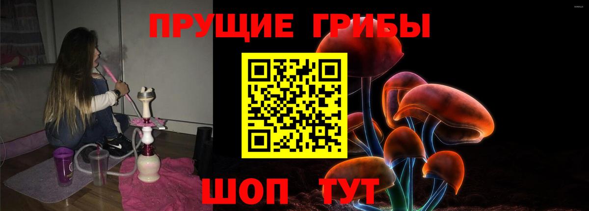 Шуя  Псилоцибиновые грибы ЛСД  Вход с VPN 